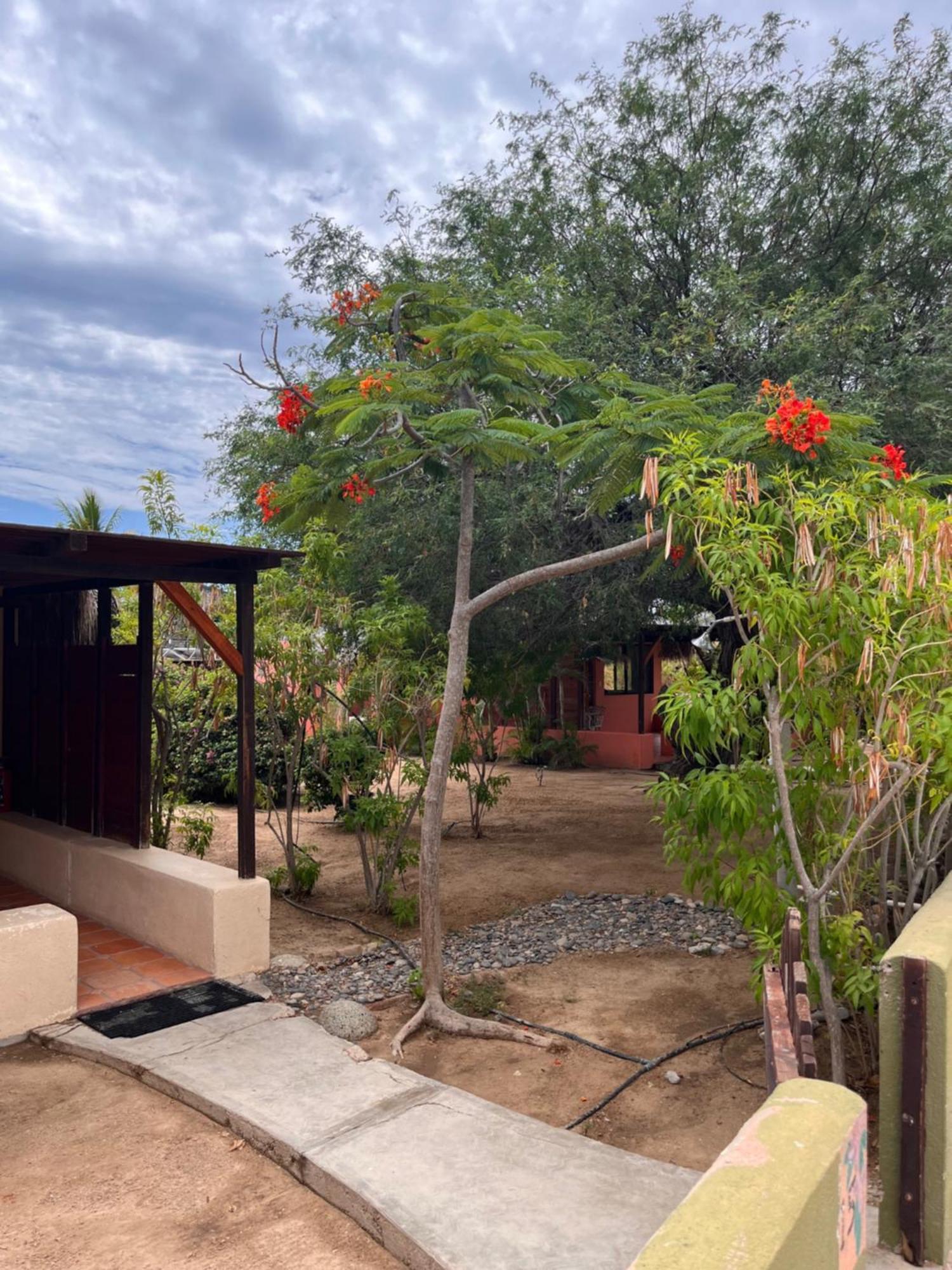 Cabo Pulmo Beach Resort Екстериор снимка